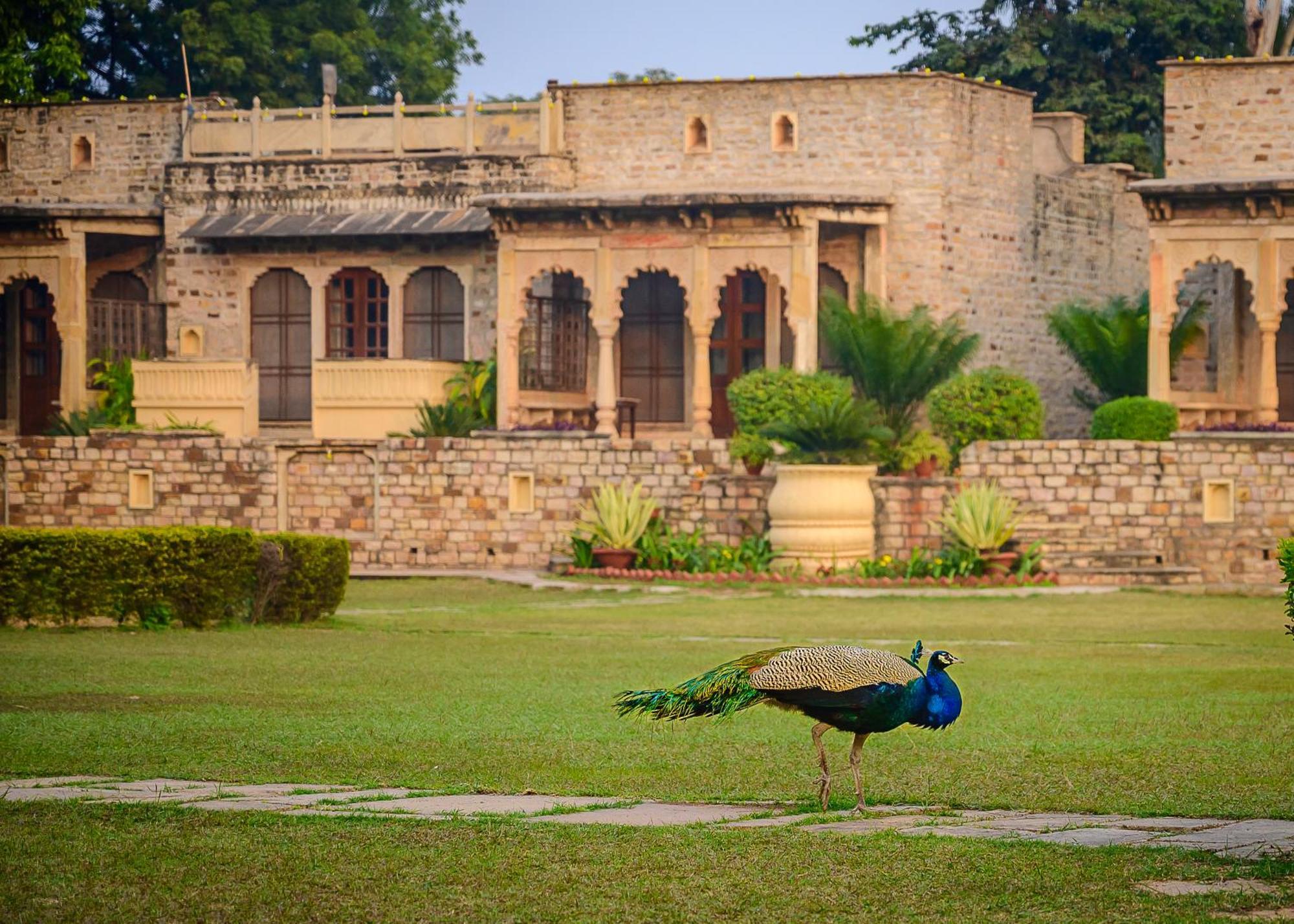 ホテル Neemrana'S - Deo Bagh グワーリヤル エクステリア 写真